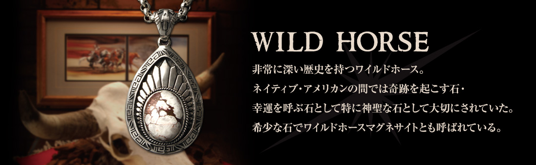 WILD HORSE ˿ˤĥ磻ɥۡФǥ磻ɥۡޥͥȤȤƤФƤ롣